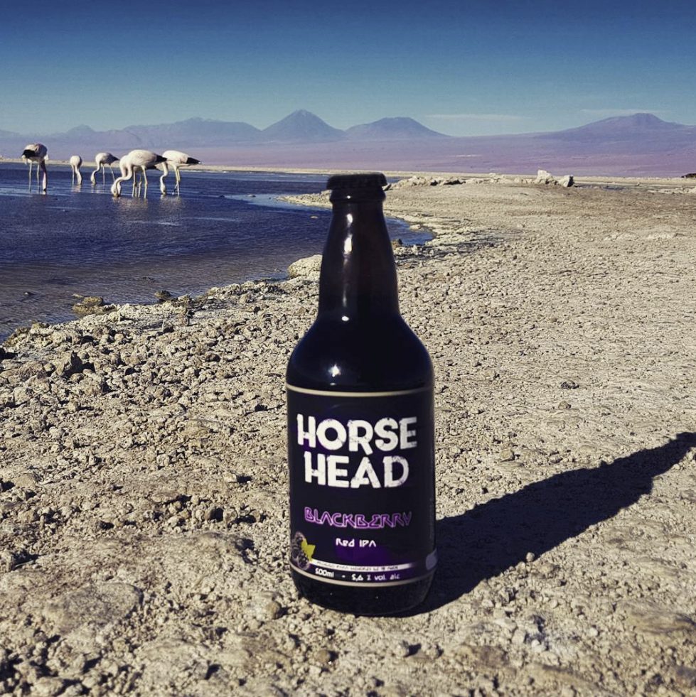 Horsehead Blackberry